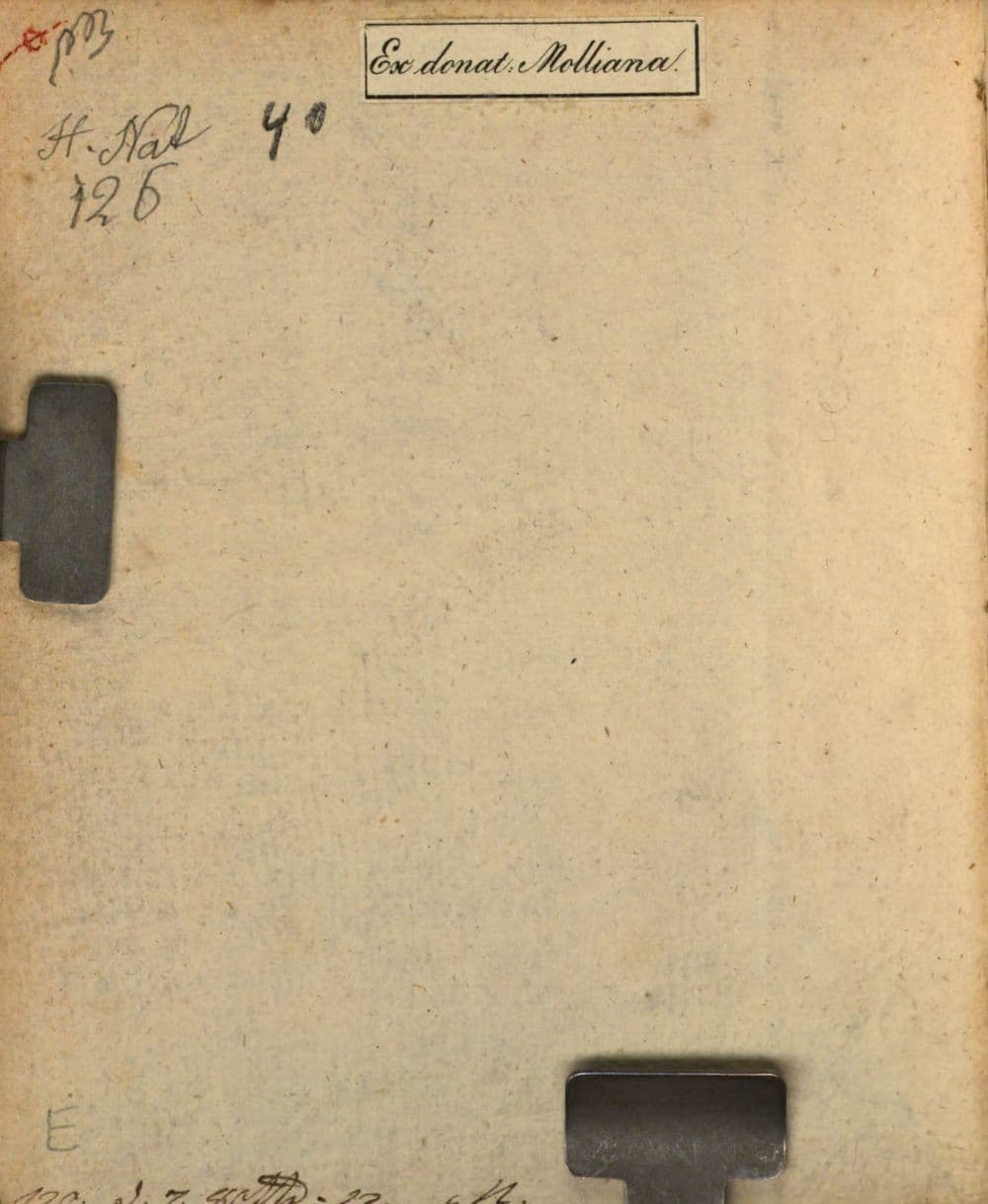 Promptuarium rerum naturalium et artificialium Vratislaviense