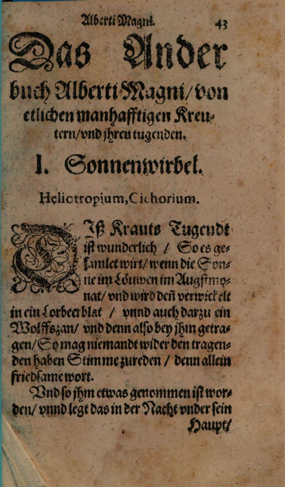 Albertus Magnus, darauß man alle Geheimnuß und Gebrechen deß Weiblichen Geschlechts erlernen mag : deßgleichen von ihrer Geburt und Kindern, wie denselbigen zu helffen und zu artzneyen ; samt mancherley Krafft der fürnemsten Kreuter, Tugent der edlen Gestein, Art und Natur der Thier ; mit angehencktem bewertem Regiment für die Pestilentz ; sampt einer ... Laßtaffel für alle Gebresten deß gantzen Leibs ...