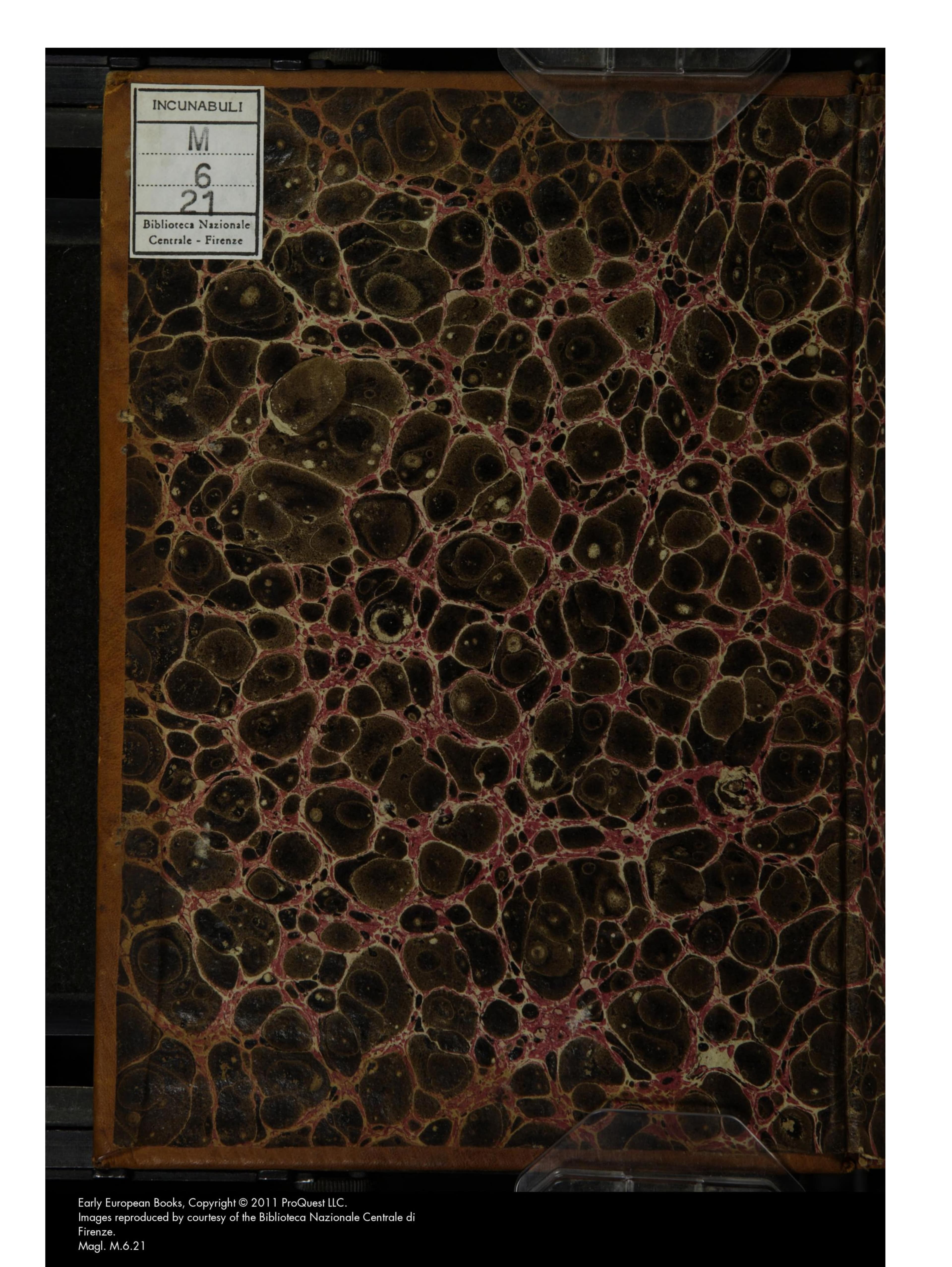 Pactianae Conjurationis Commentarium