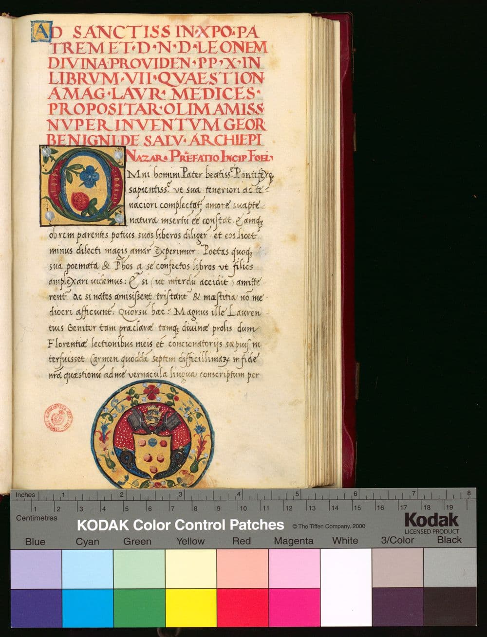 Quaestiones VII propositae a Laurentio Medice in carmine quodam