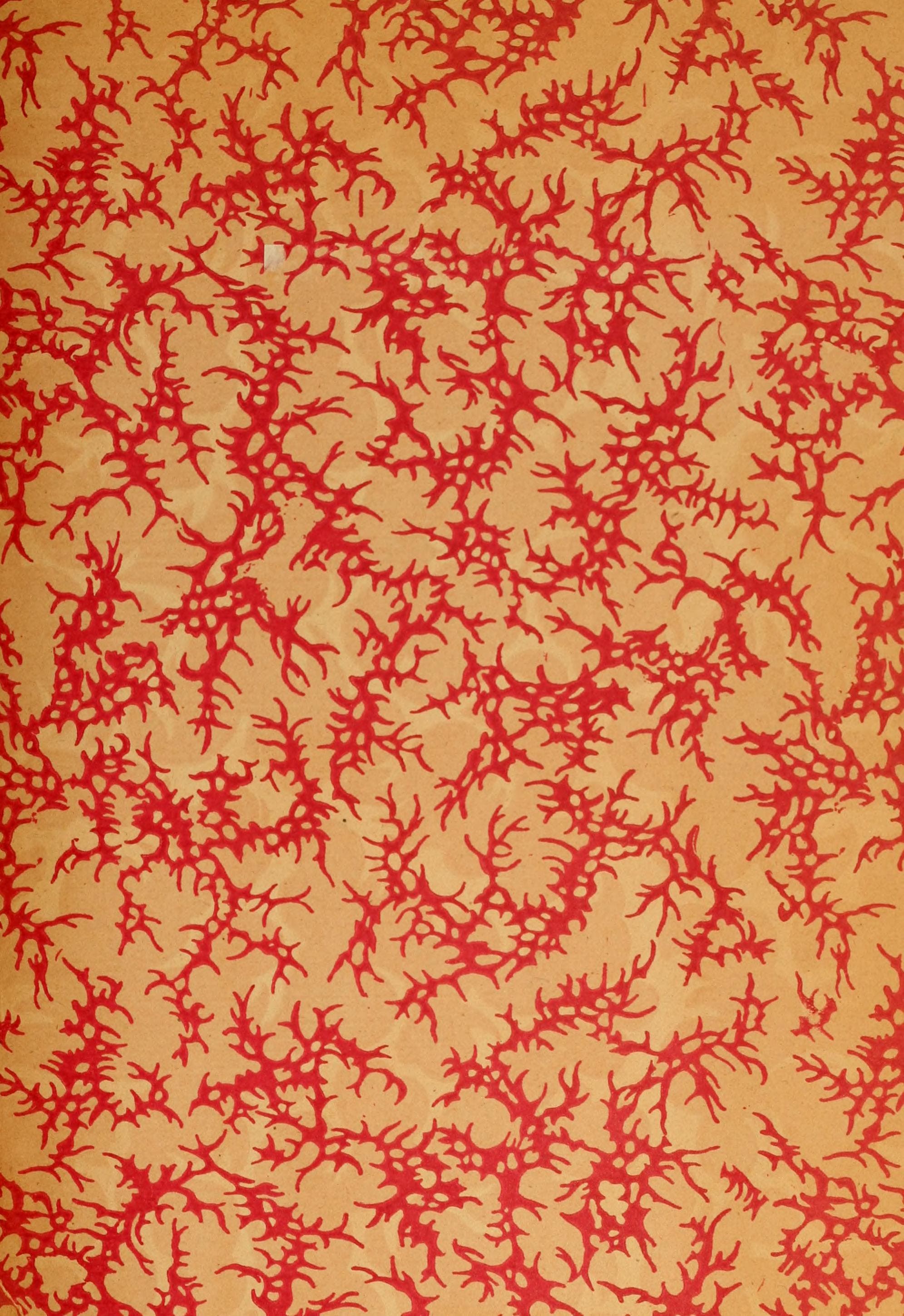 Oeuvres de Descartes Vol. XI (Le Monde)