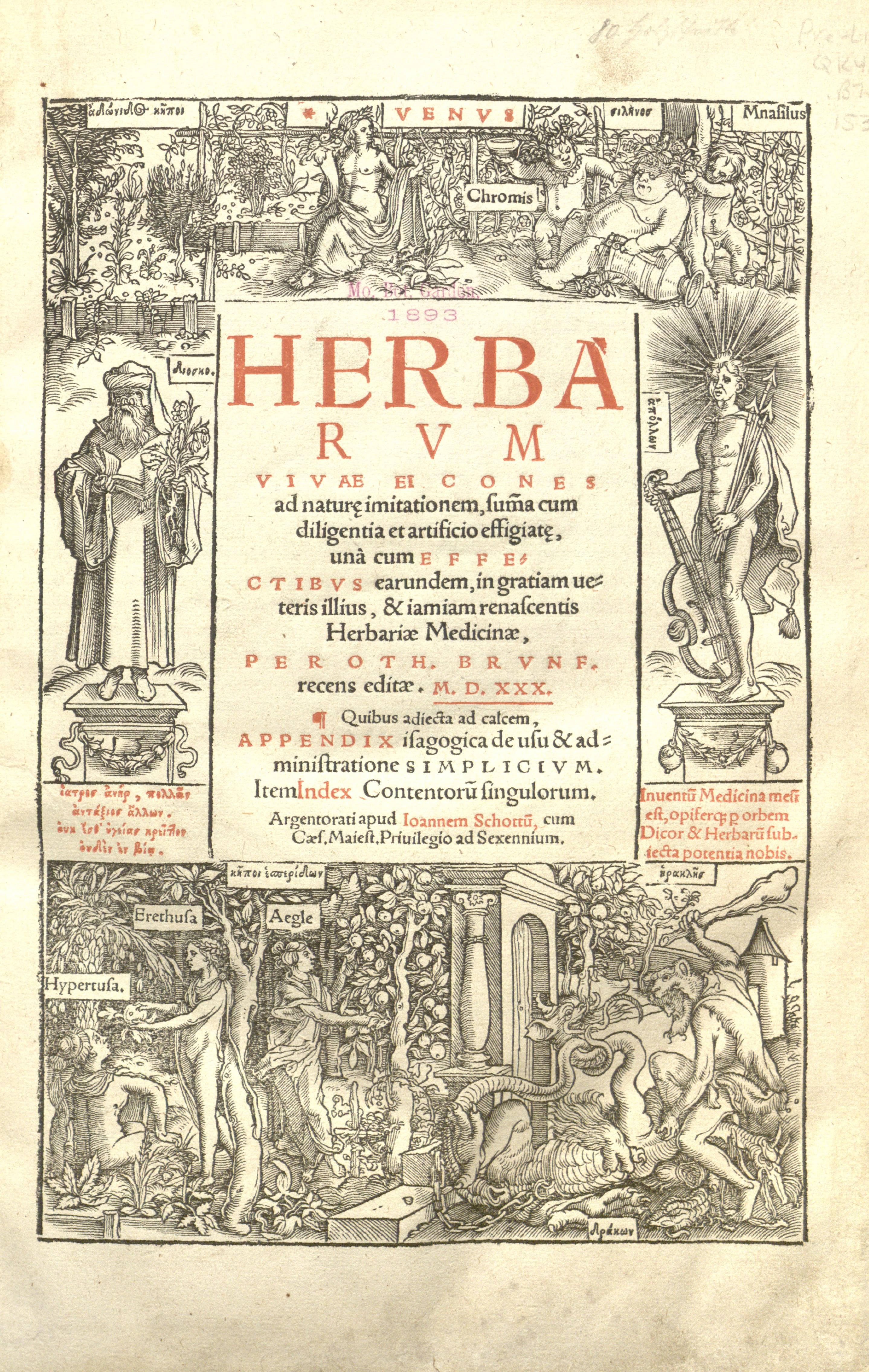 Herbarum vivae eicones