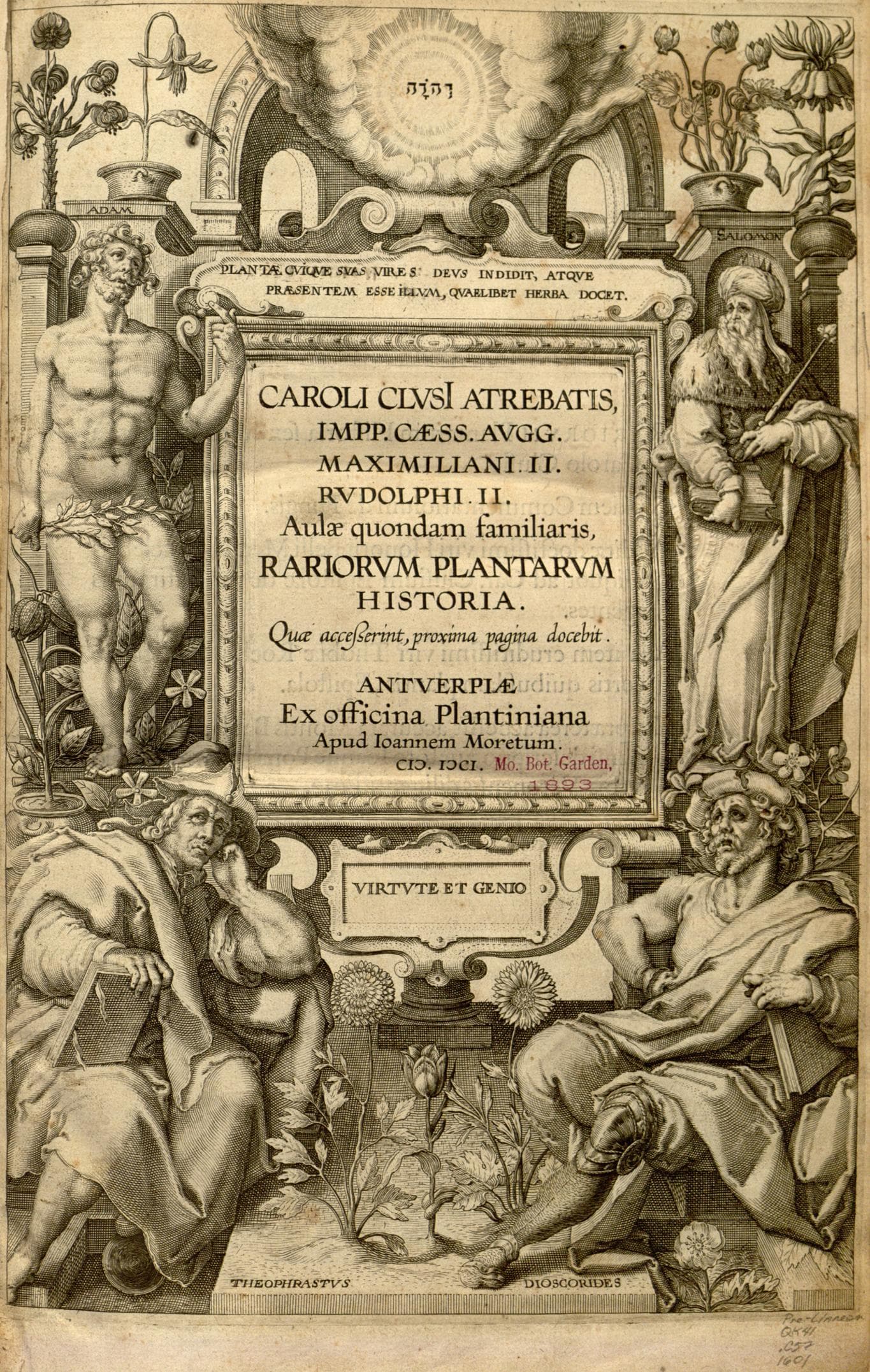 Rariorum plantarum historia