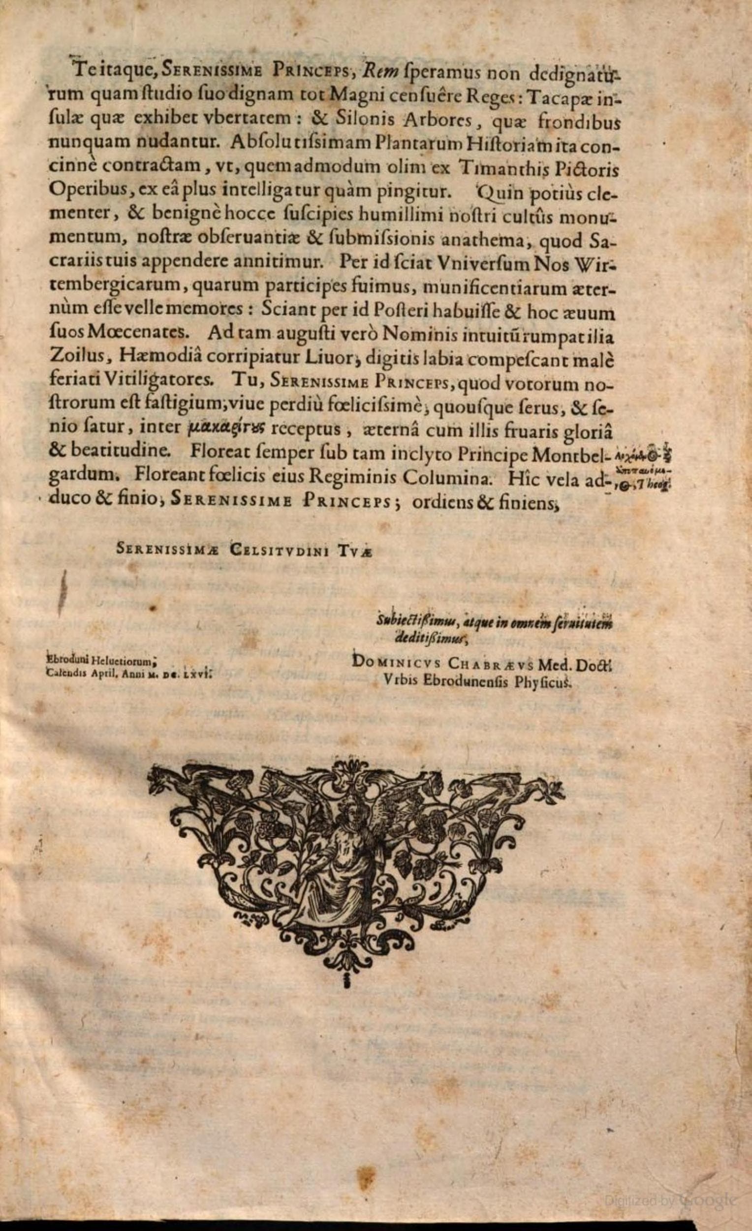 Stirpium icones et sciagraphia