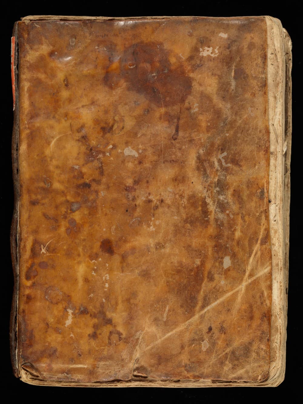 Geomancy, Chiromancy, Alchemy, Astronomy, Medicine (Cod. Sang. 756)