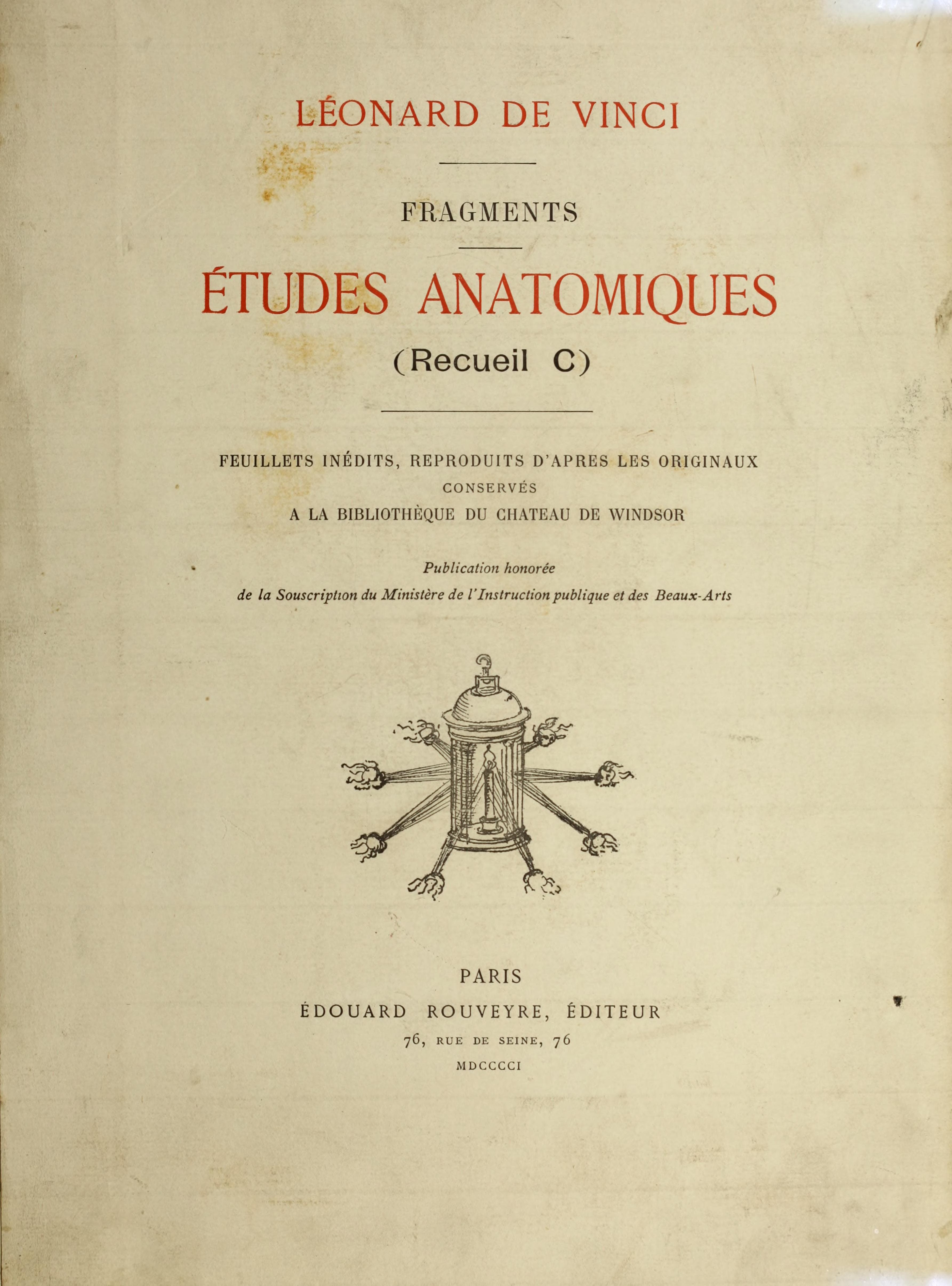 Fragments: etudes anatomiques (Windsor)