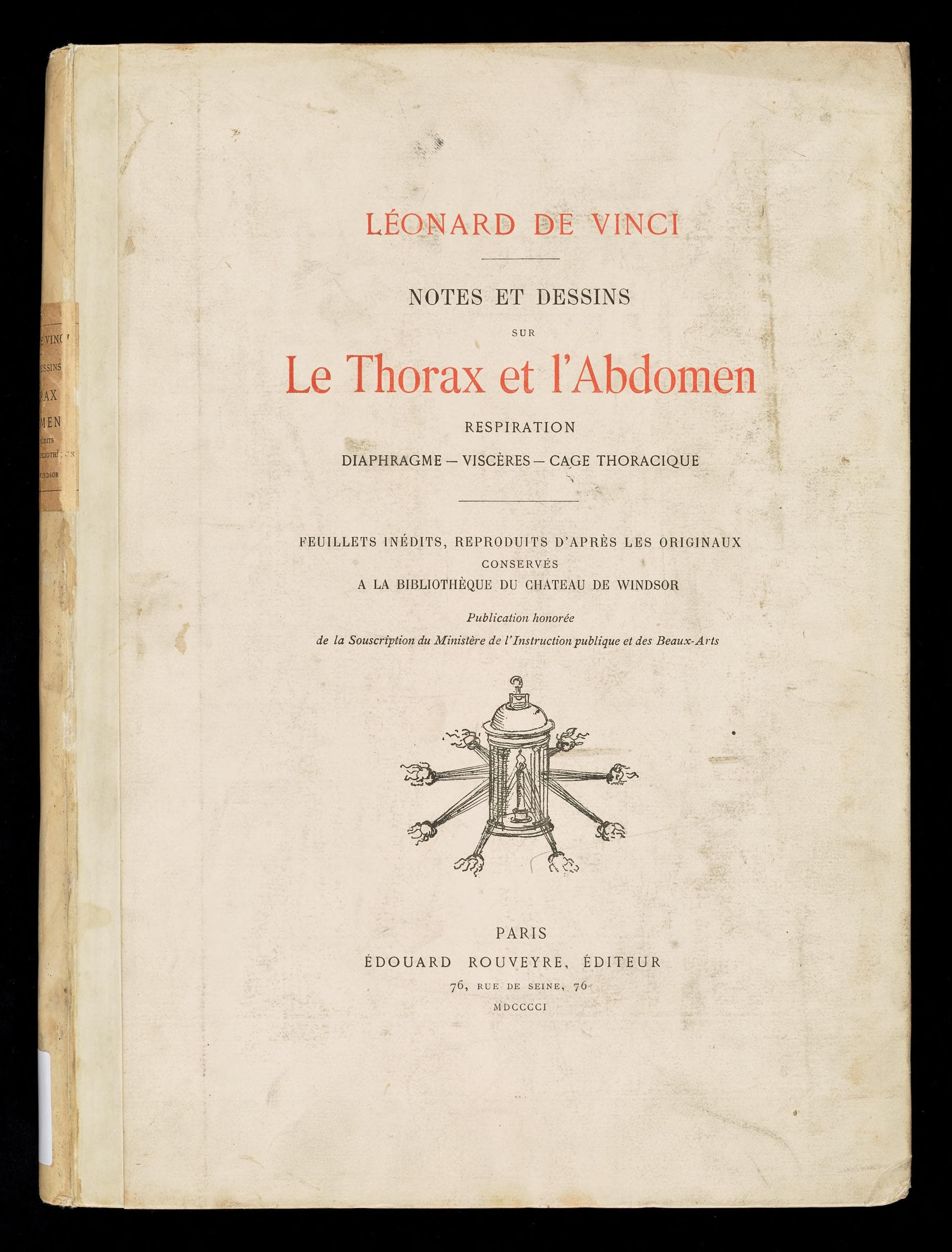 Notes et dessins sur le thorax et l'abdomen