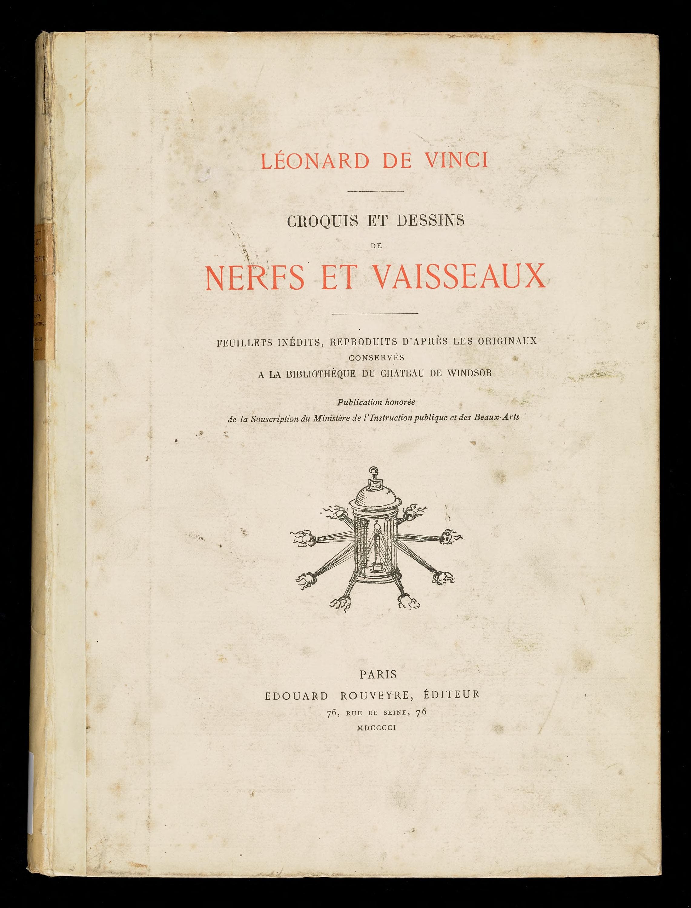 Croquis et dessins de nerfs et vaisseaux