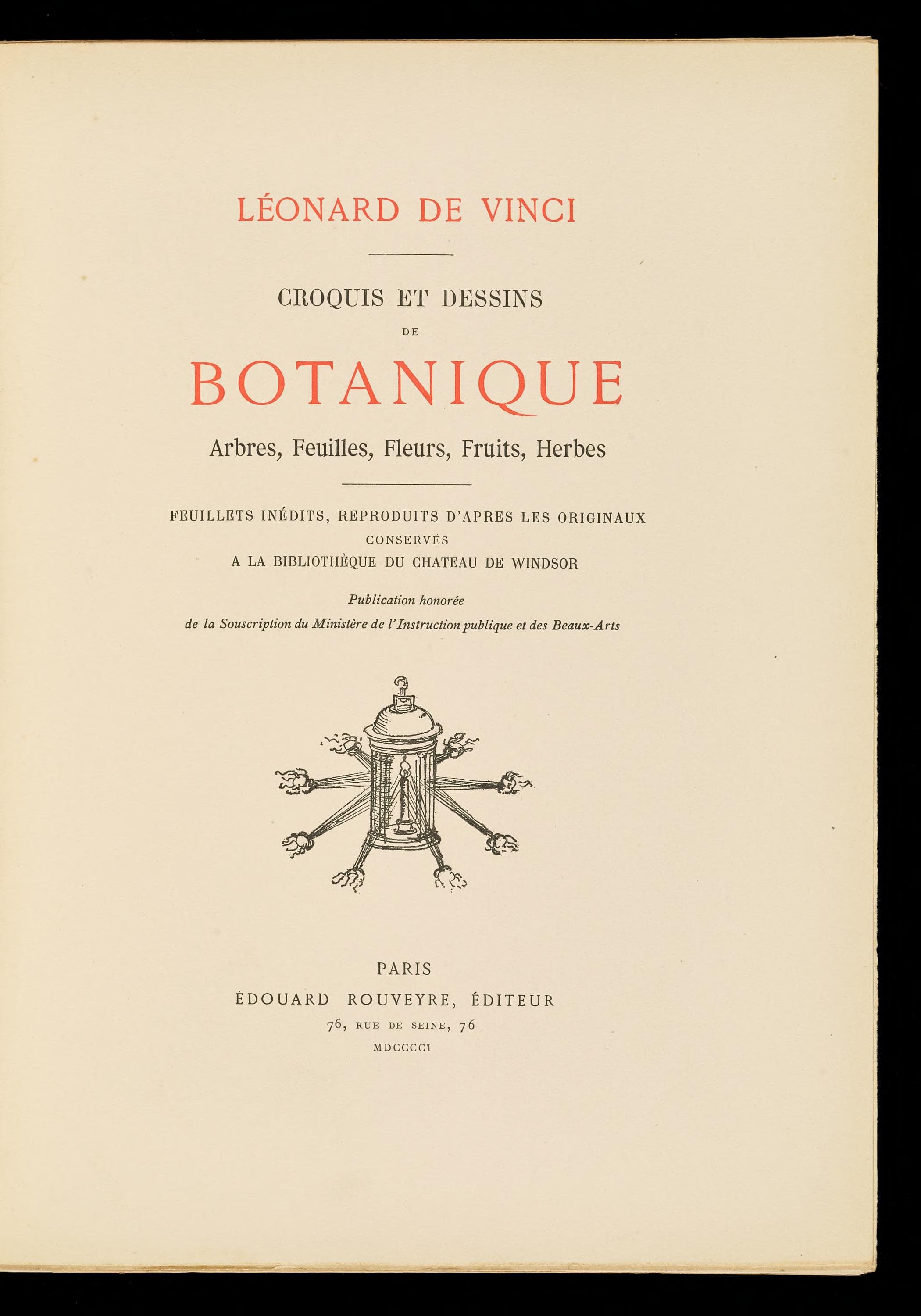 Croquis et dessins de botanique
