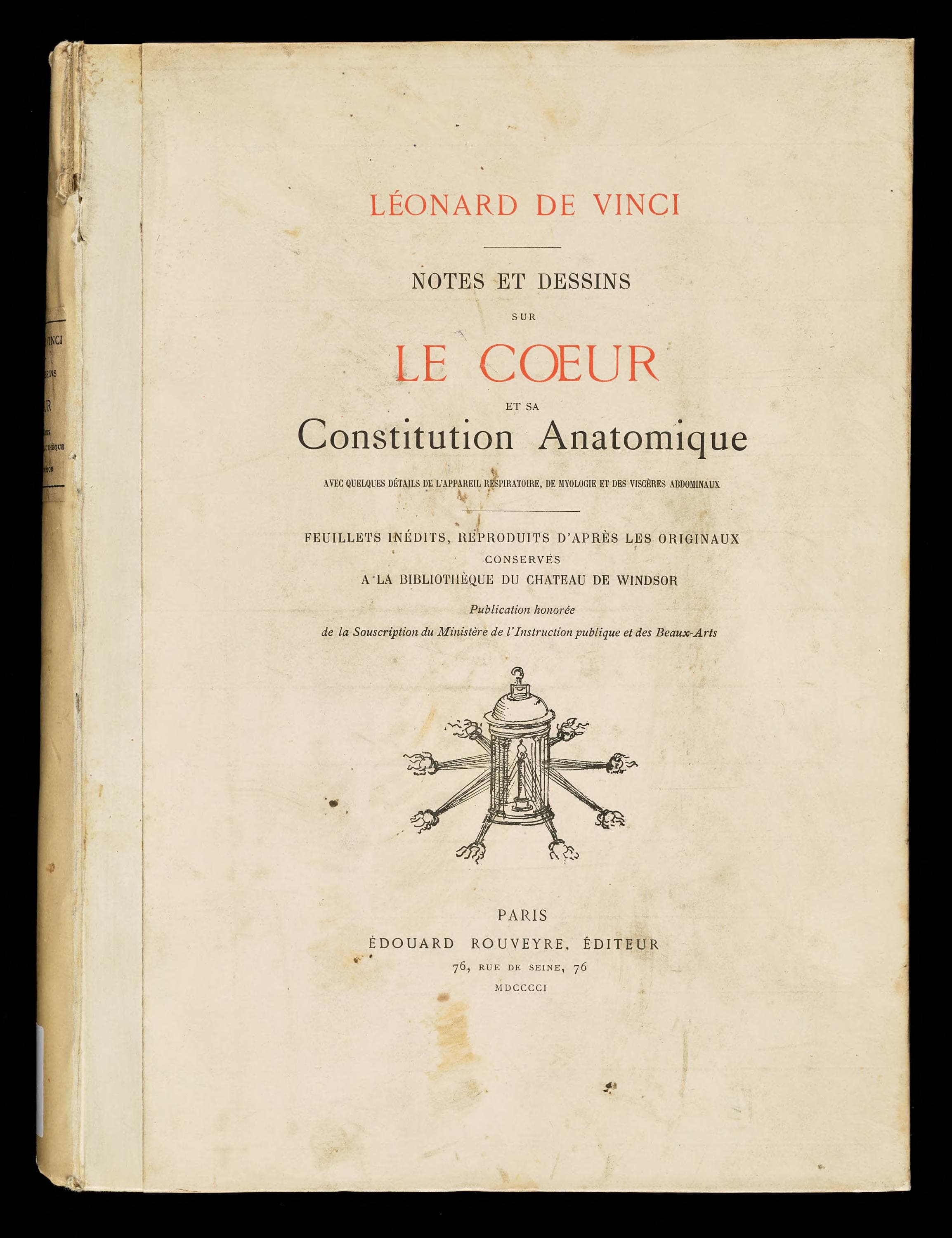 Notes et dessins sur le coeur et sa constitution anatomique