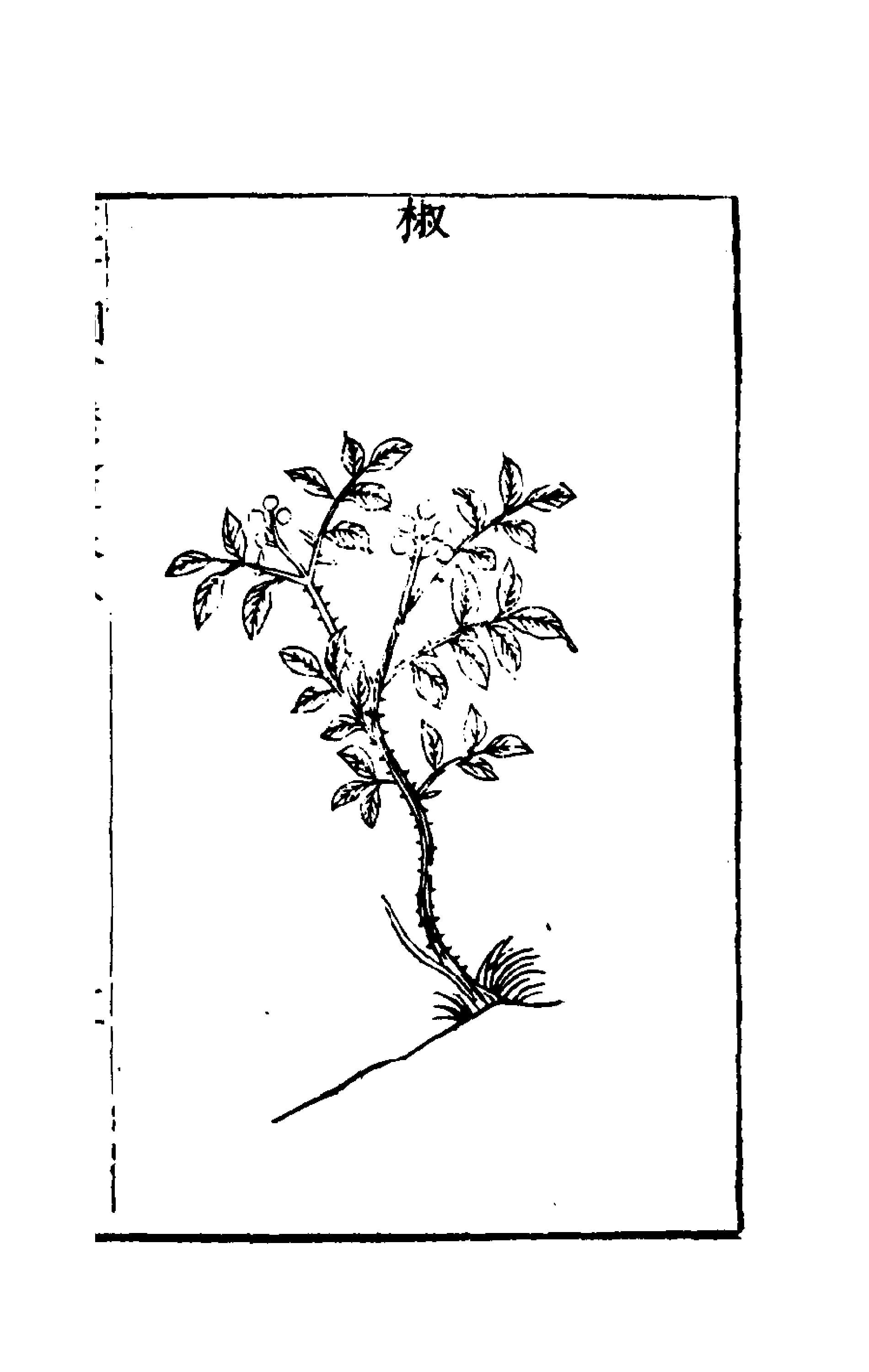 三才圖會(一百二)