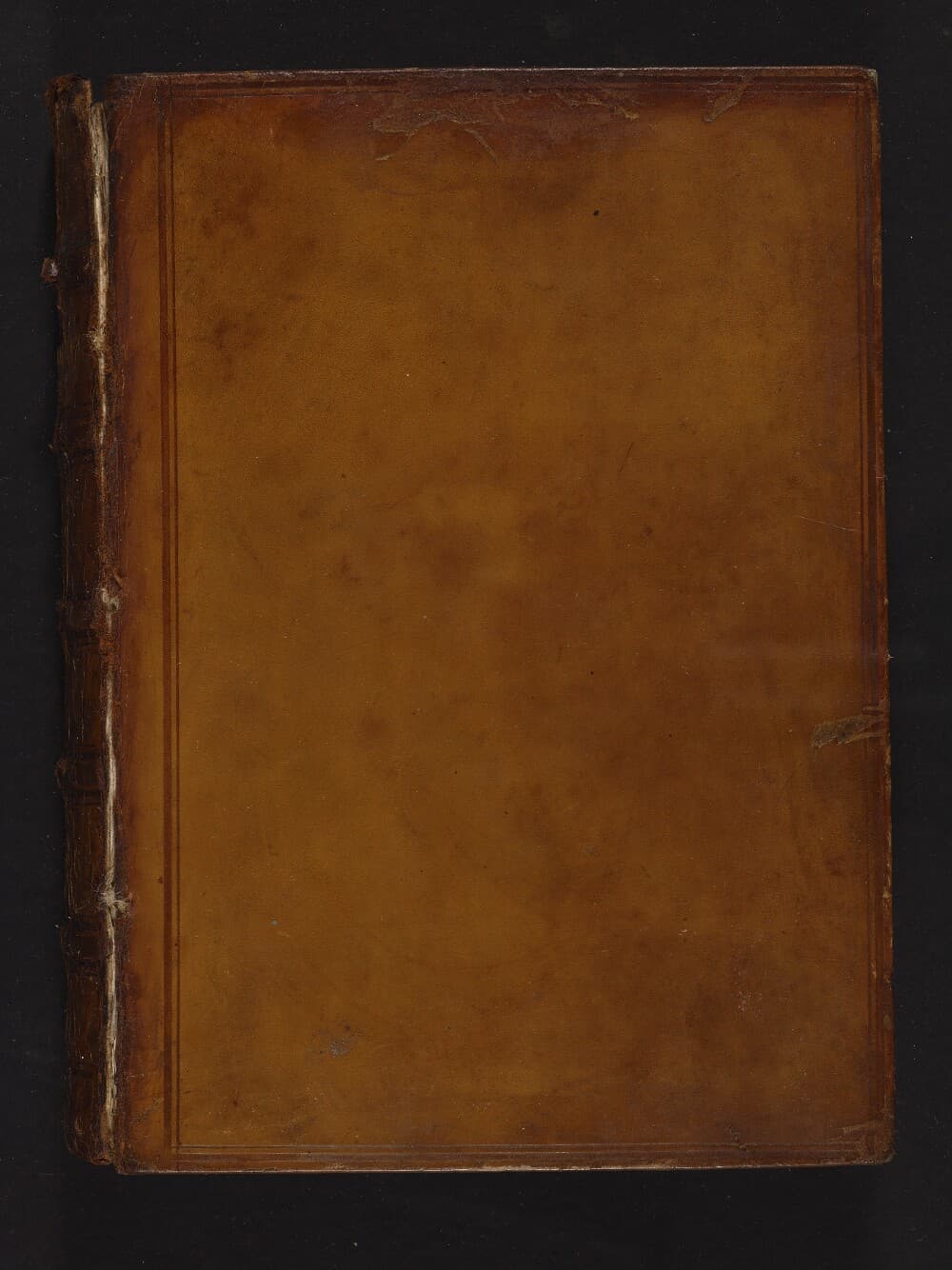 Sophocles and Euripides: Ajax, Electra, Oedipus Tyrannus, Phoenissae