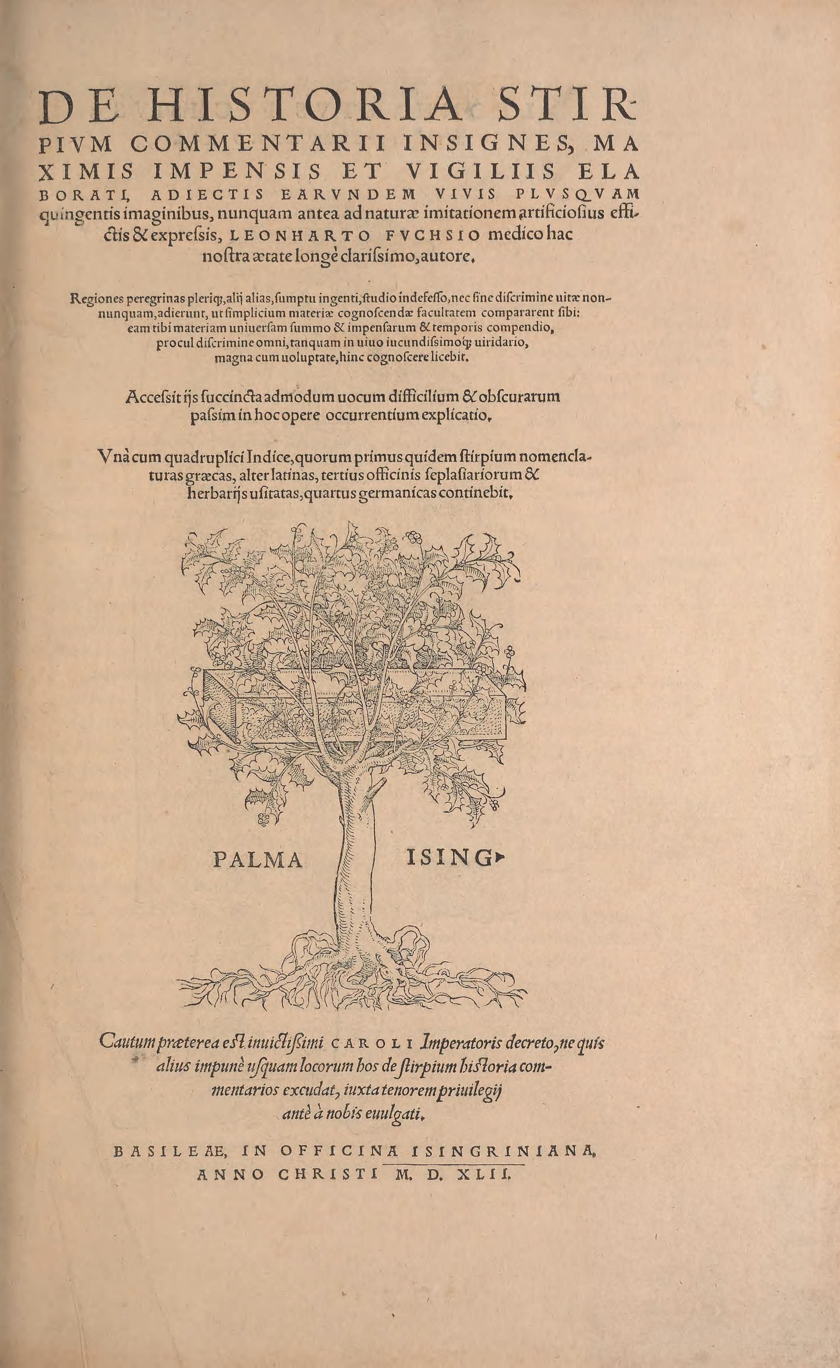 De Historia Stirpium Commentarii Insignes