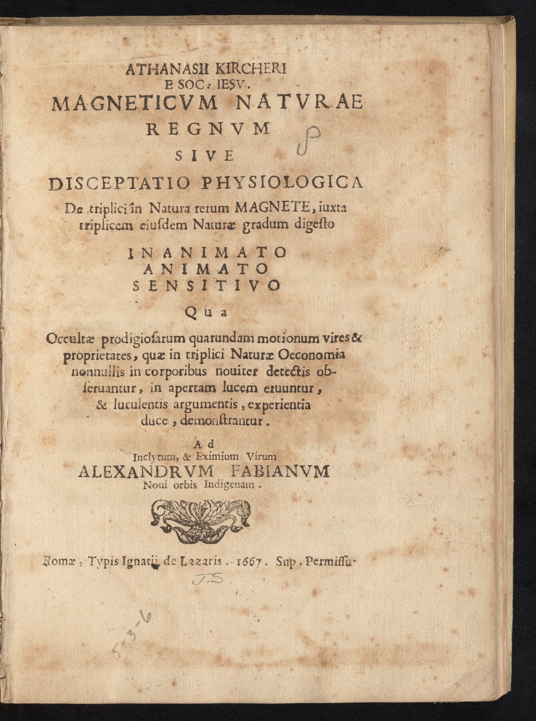 Magneticum Naturae Regnum