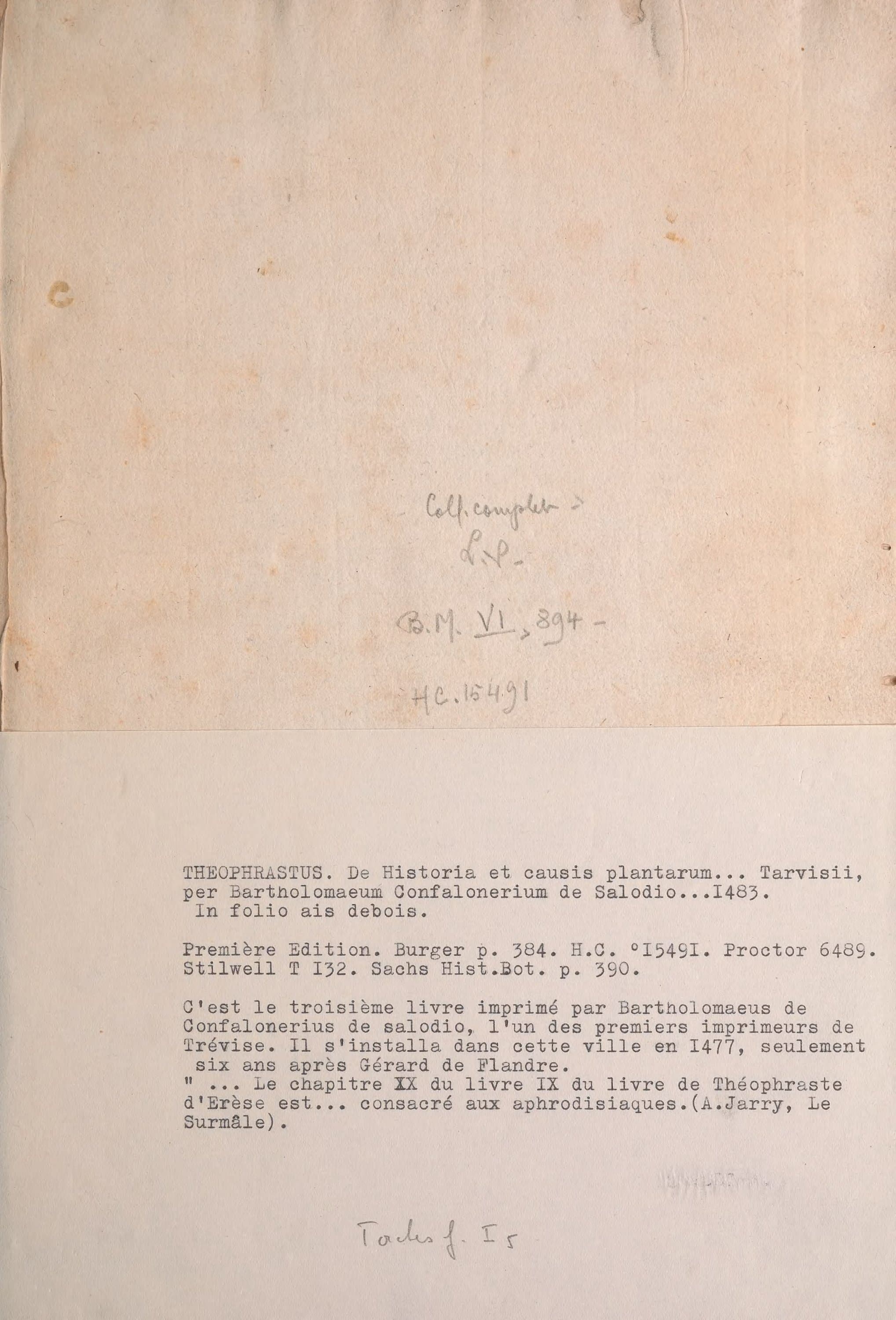 Theophrasti De Historia Plantarum (1483 Incunabulum)