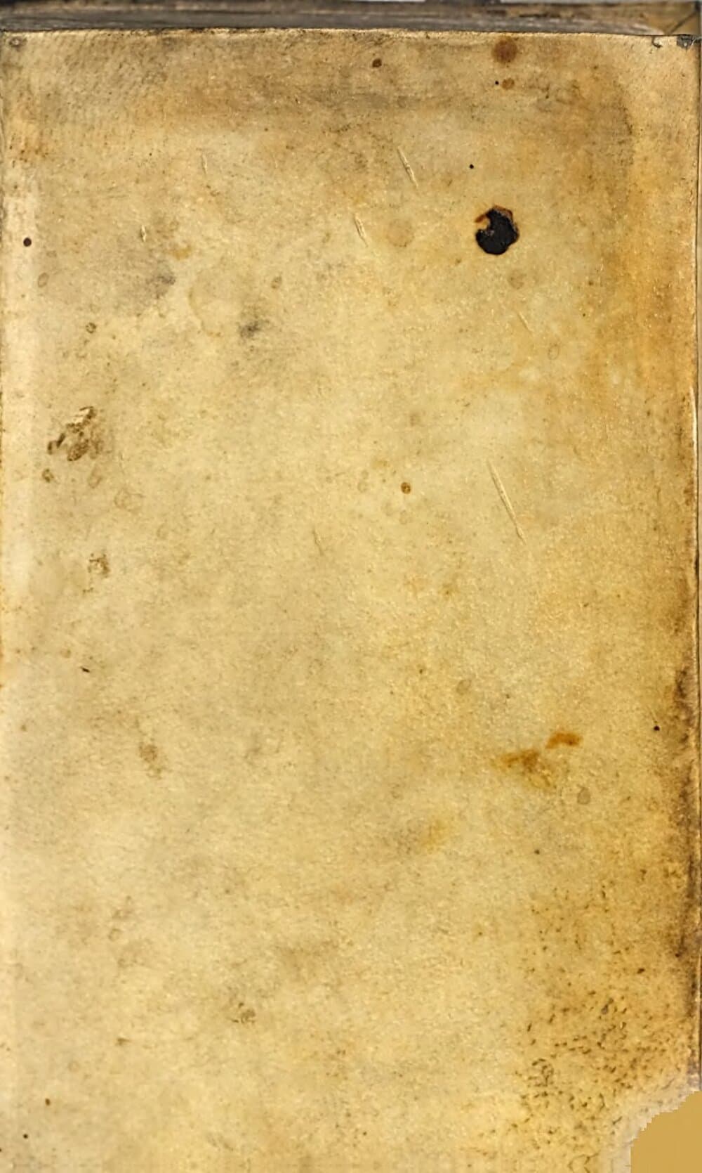 Medicina Spagyrica Oder Spagyrische Artzneykunst : In welcher I. Compendium Hermeticum, ..., II. Antidotarium Chymicum ..., III. Jatrium Chymicum ...