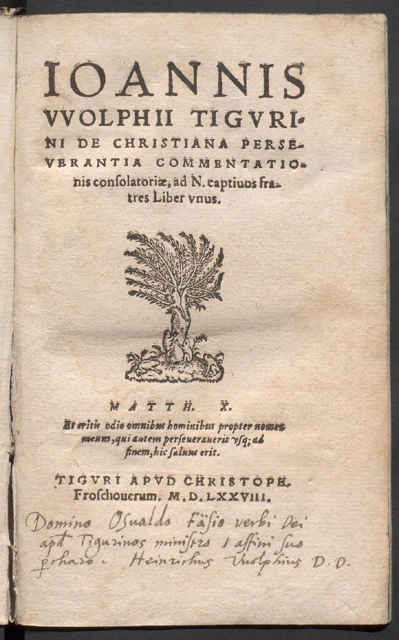 Ioannis Wolphii Tigurini de christiana perseverantia commentationis consolatoriae, ad N. captivos fratres liber unus. ...