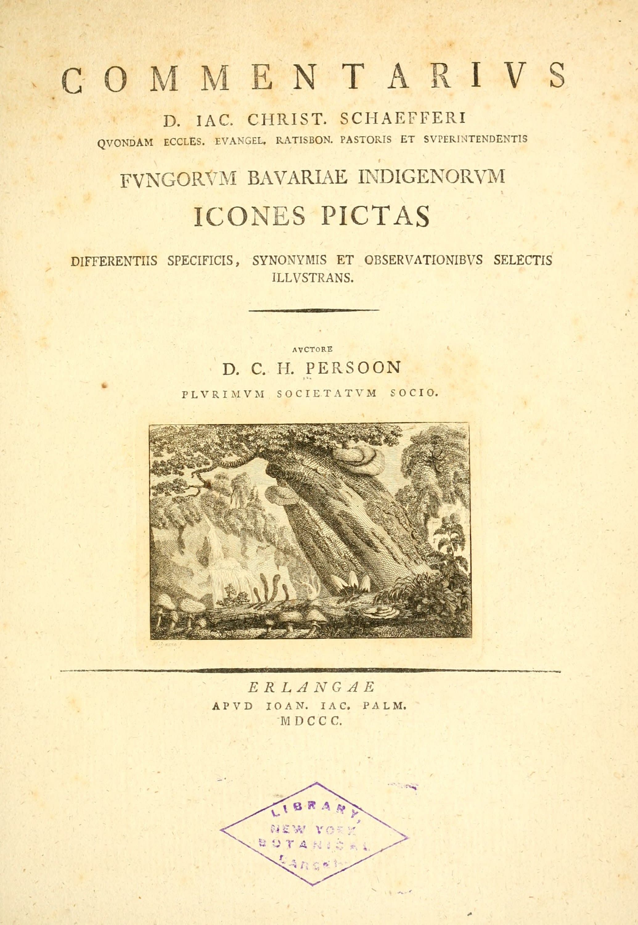 Fungorum qui in Bavaria et Palatinatu circa Ratisbonam nascuntur Icones