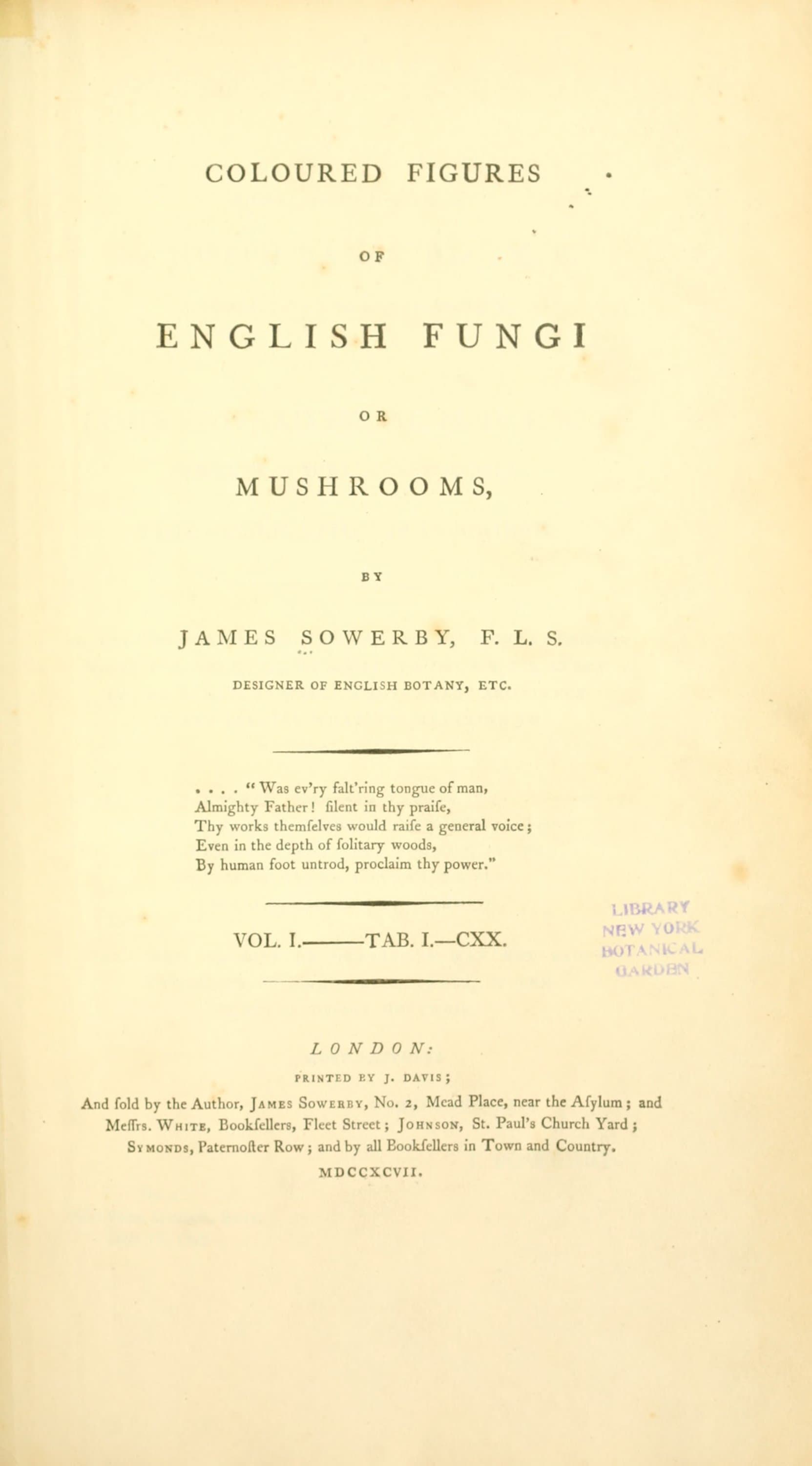 Coloured Figures of English Fungi or Mushrooms