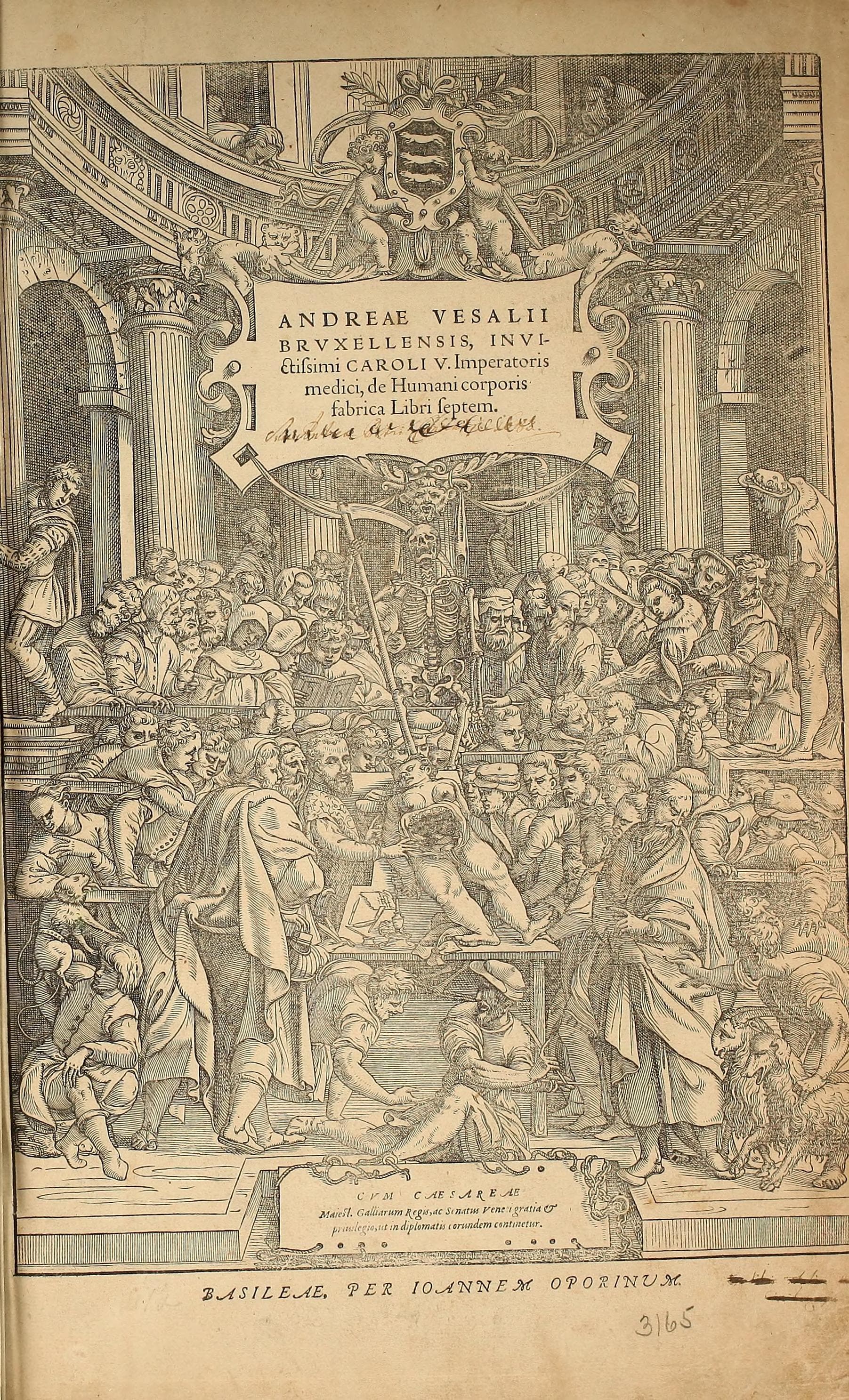 De Humani Corporis Fabrica