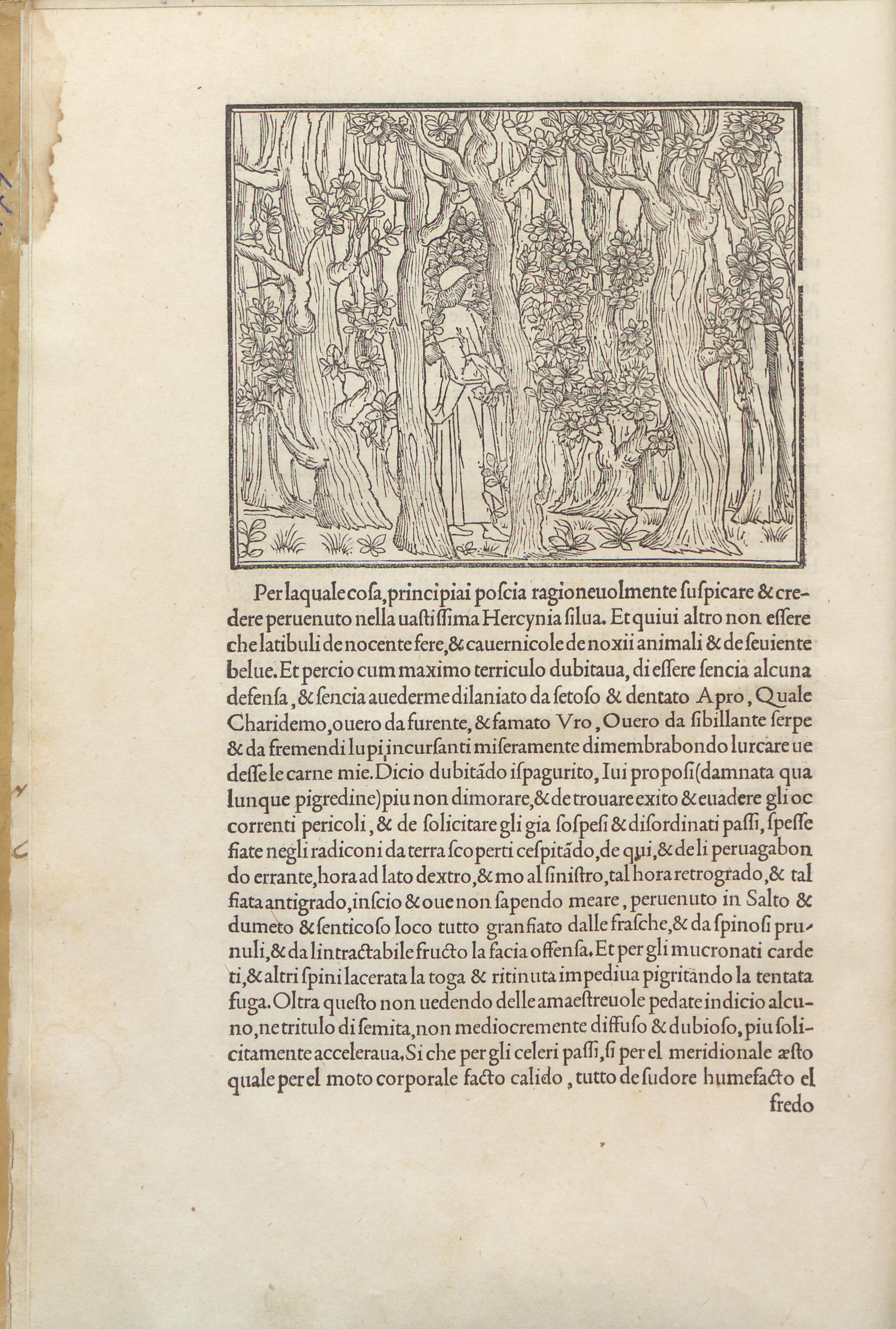 Hypnerotomachia Poliphili