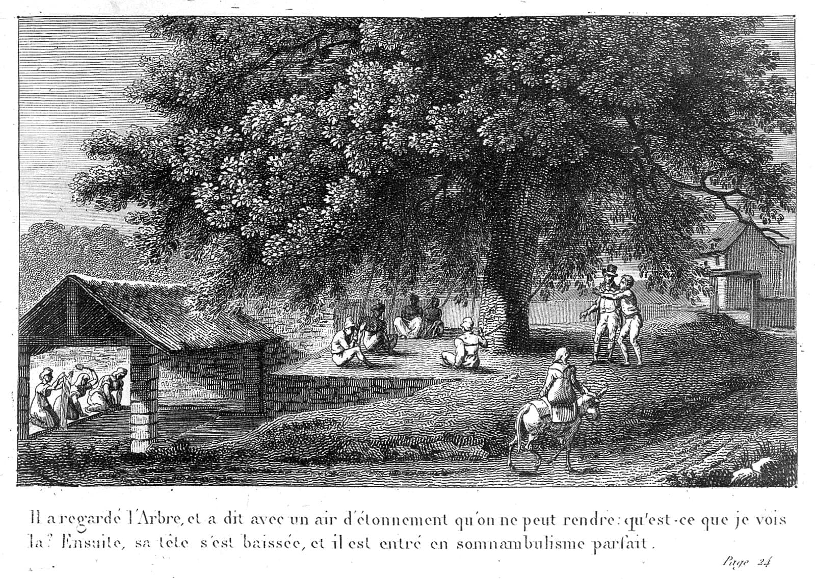 The Somnambulist (Mesmerism)