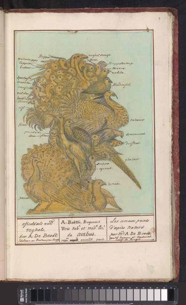 Allegorie van de Lucht, RP-T-BR-2017-1-3-7