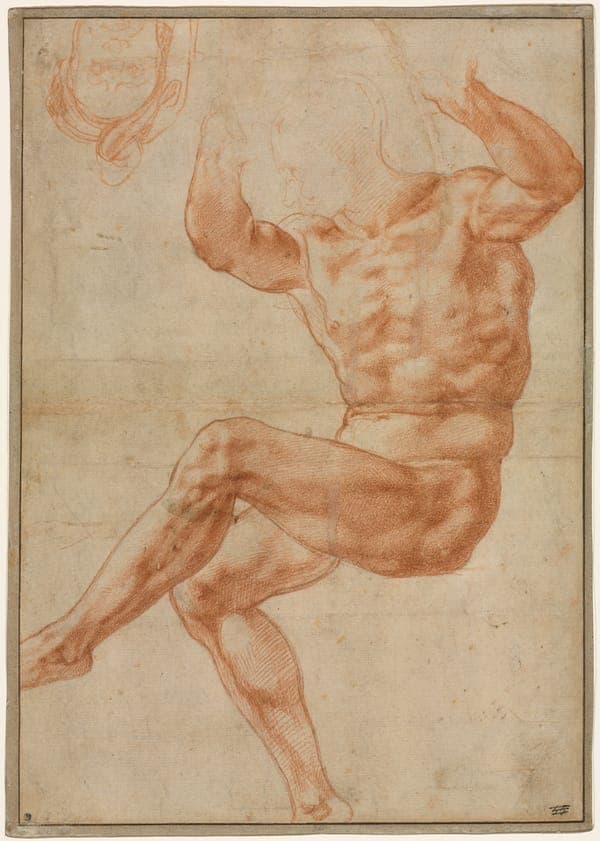 Study for a Nude