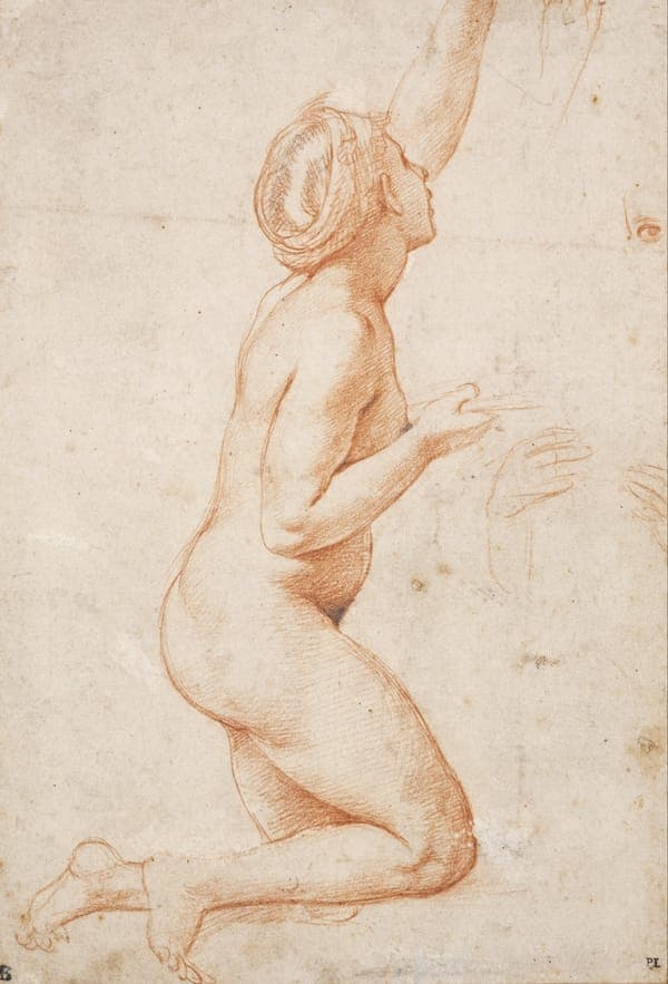 Kneeling Nude Woman
