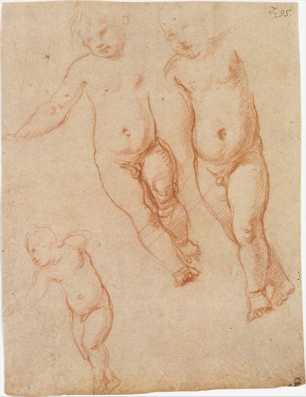 Study of the Christ Child