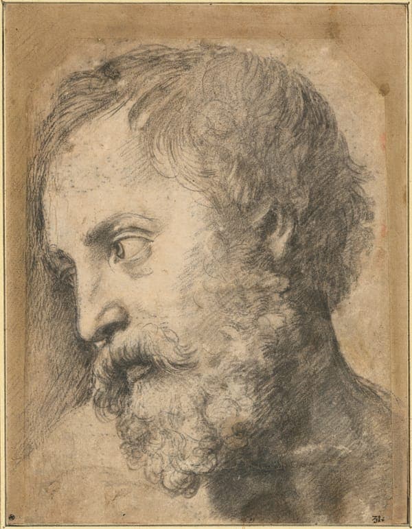 Study of the Head of an Apostle