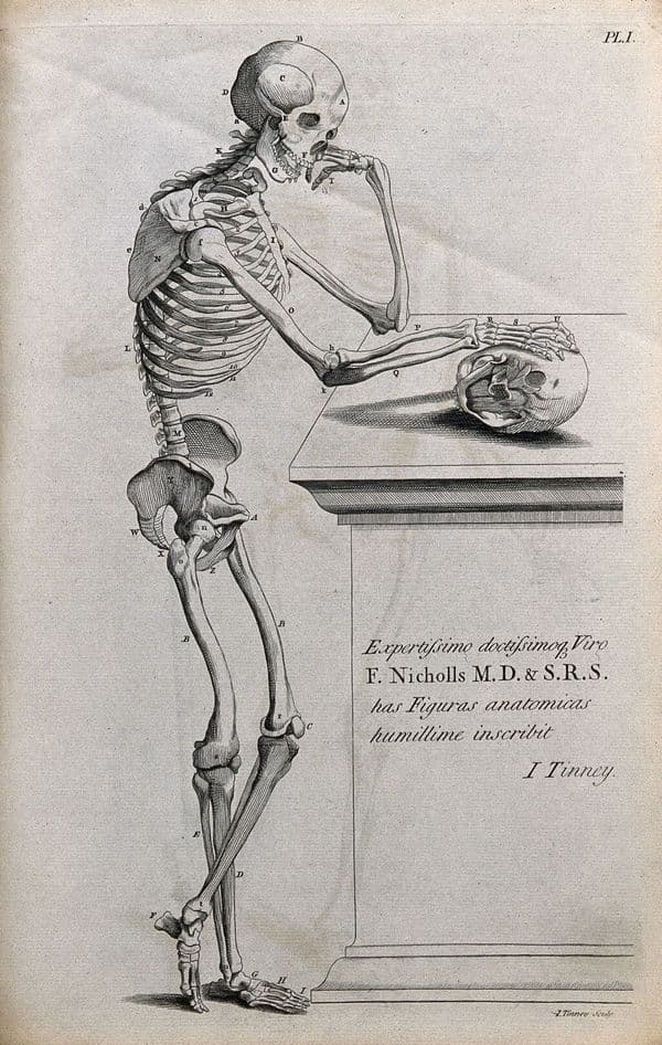 Skeleton on a Tombstone — after Vesalius