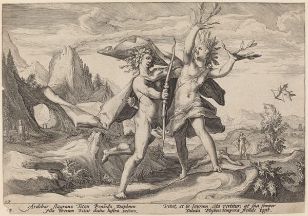 Daphne Changed into a Laurel Tree