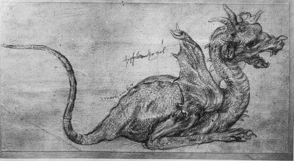 Dragon Duerer