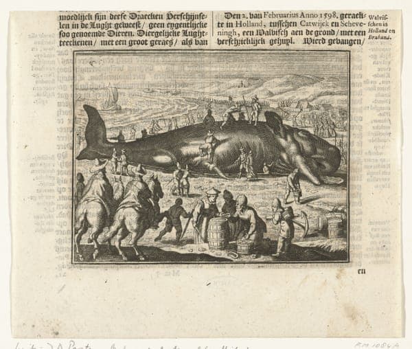 Gestrande walvis bij Berckhey, 1598, RP-P-OB-80.357