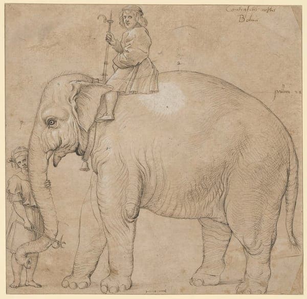 Hanno.RaffaelWerkstatt1516.Berlin