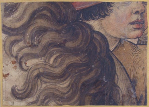 Head of a boy and section of a horse's mane