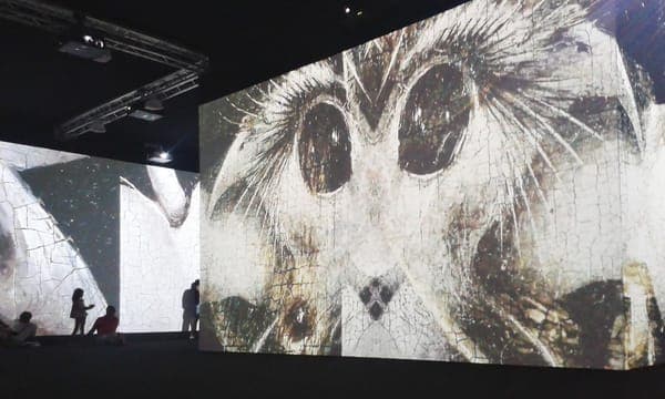 Hieronymus Bosch exhibition