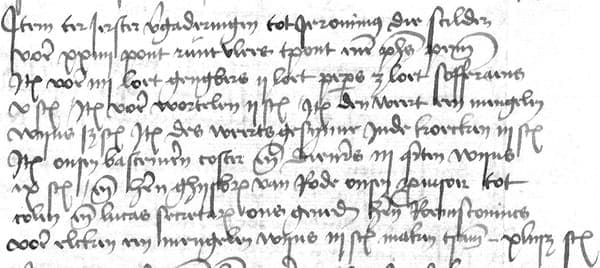 ILVB register 1485-1495 fol 126v line 18-26