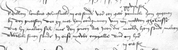 ILVB register 1485-1495 fol 294v line 17-20