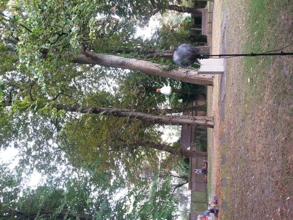 Jeroen Boschtuin 's-Hertogenbosch