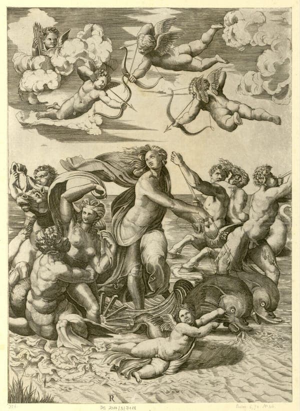 Marco Dente - Galatea, DG201737118