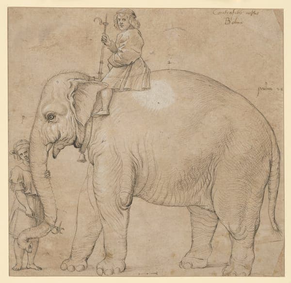 Raffael - Schule - Der Elefant Hanno, KdZ 17949