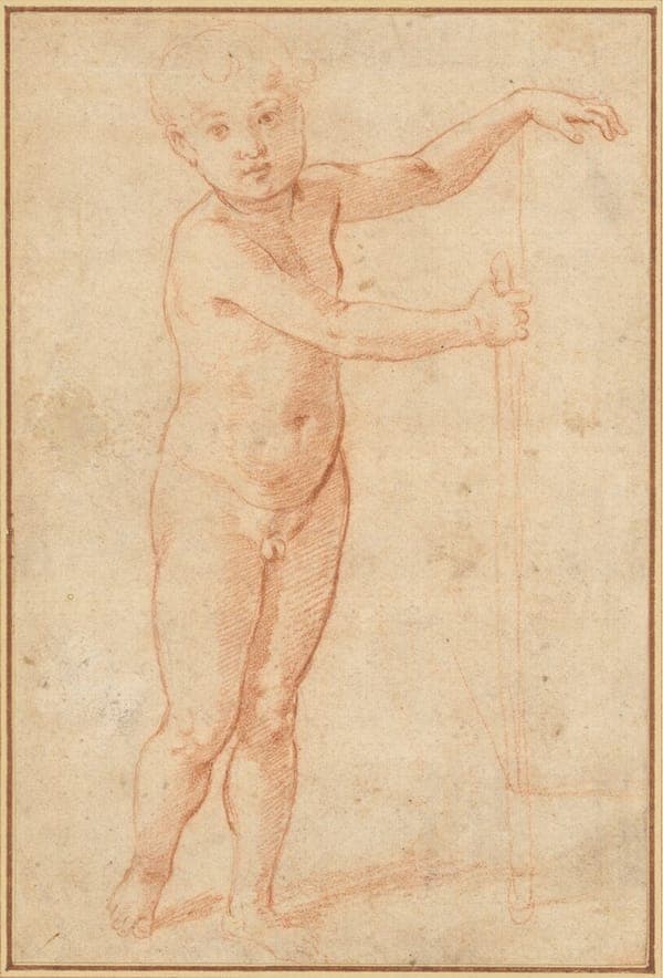 Raffaello - Aktstudie eines Knaben, 239