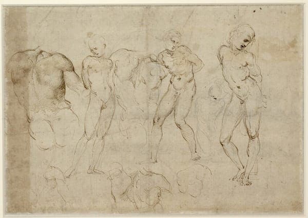 Raffaello - Aktstudien, 195v