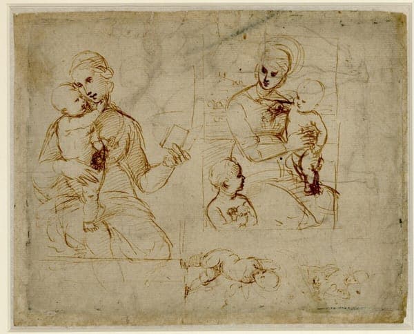 Raffaello - Madonnenstudien, 206r