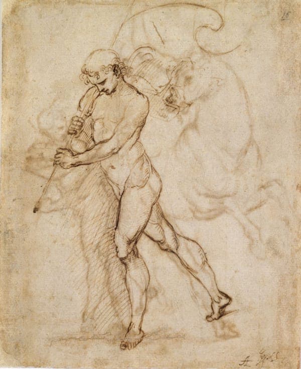 Raffaello Sanzio - Alfiere, 16