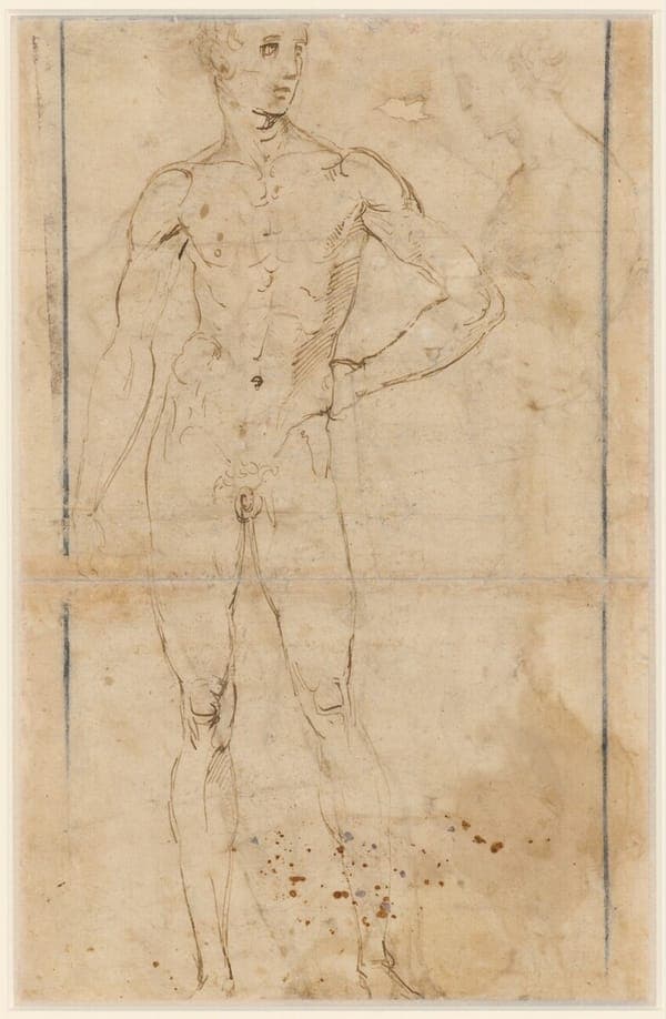 Raffaello - Stehender Männerakt, 117v