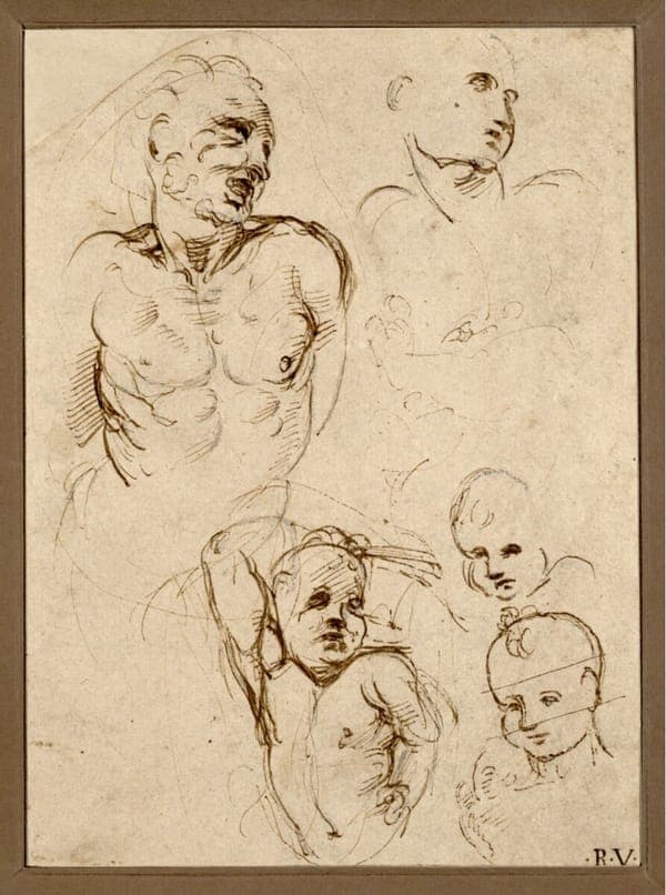 Raffaello - Studienblatt, 260