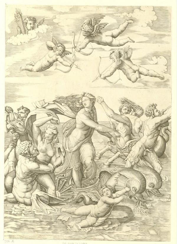 Raimondi - Triumph der Galathea, DG201736999